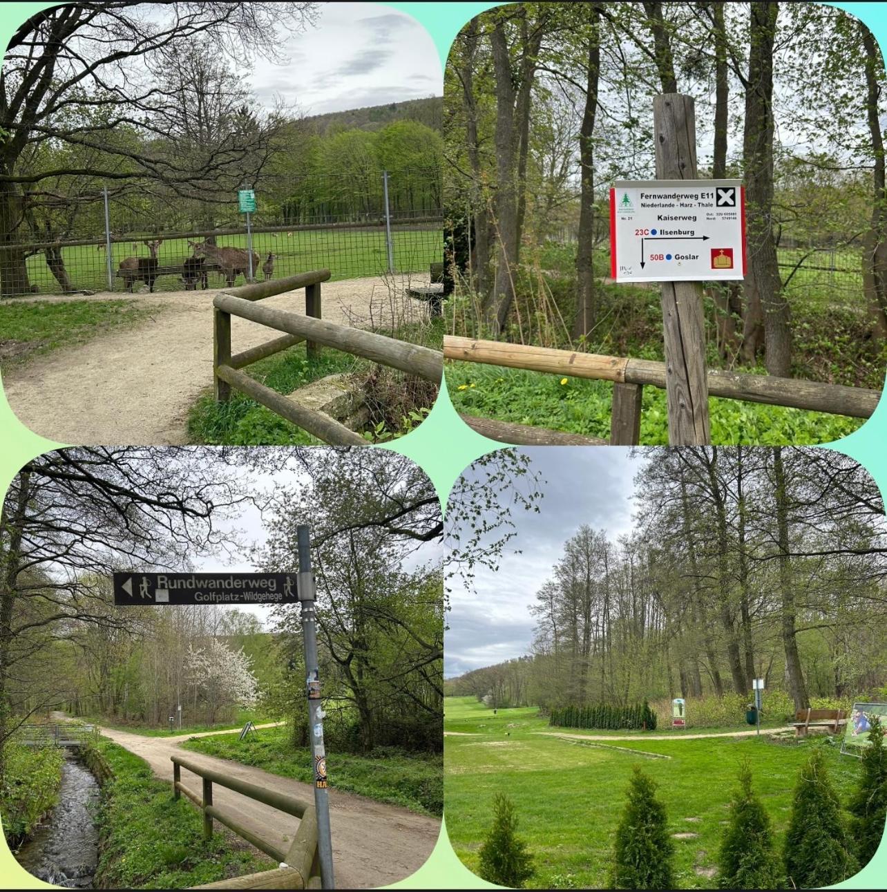Kleine Auszeit Am Wildgehege Appartement Bad Harzburg Buitenkant foto