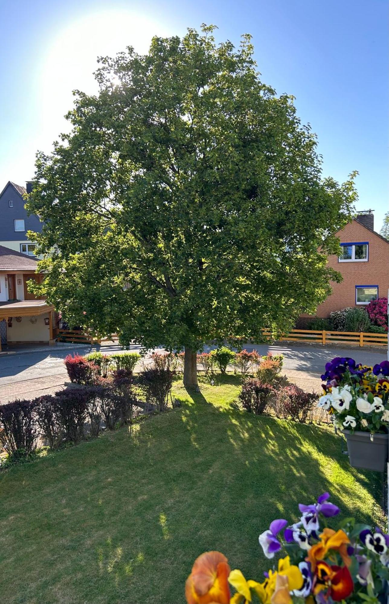 Kleine Auszeit Am Wildgehege Appartement Bad Harzburg Buitenkant foto